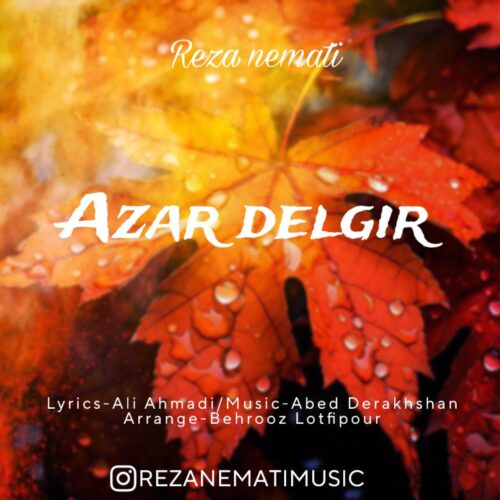 رضا نعمتی آذر دلگیر